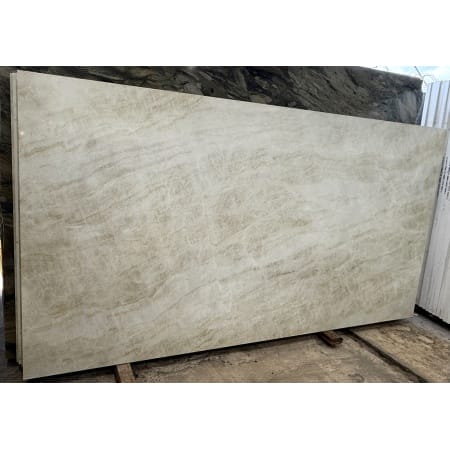 Taj Mahal Printed Quartz